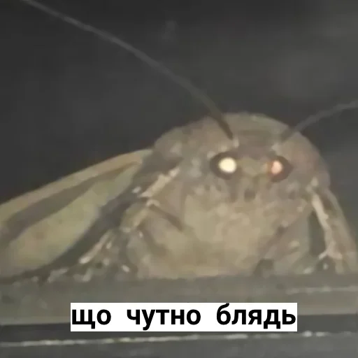 Стикер AllTogether4 - 1