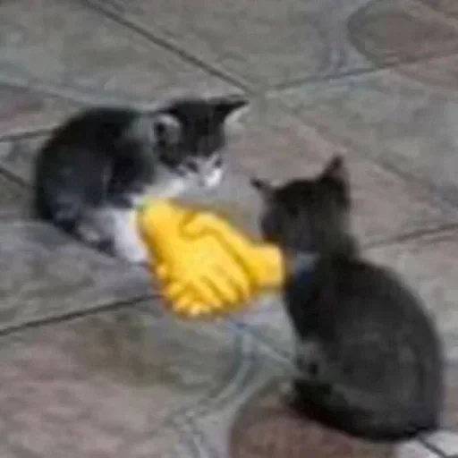 Sticker Alucardiopack - 1