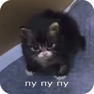 Стикер Аля улю - 9