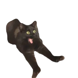 Sticker Anastasia’s mood pt.2 - 11