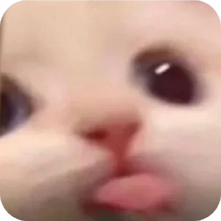 Стикер @Andrey_Neko - 3