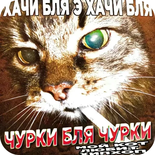 Sticker Anekdot97 - 1