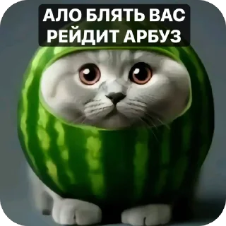 Sticker Арбуз(сделано @zigma161) - 1
