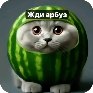Sticker Арбуз(сделано @zigma161) - 4