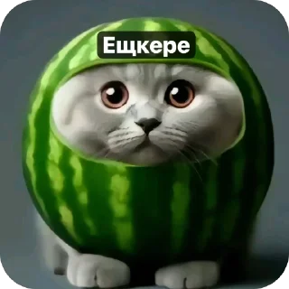 Sticker Арбуз(сделано @zigma161) - 11