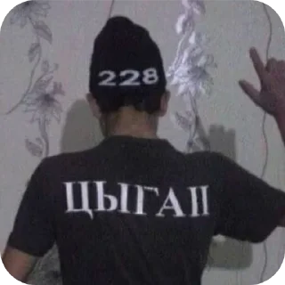 Стикер Аристократичная хуета - 6