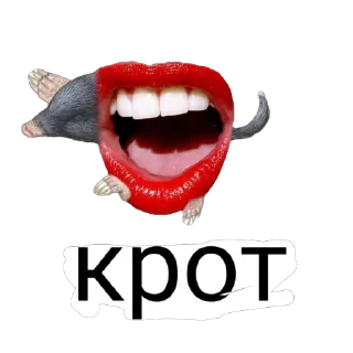 Sticker Ашо?! - 3