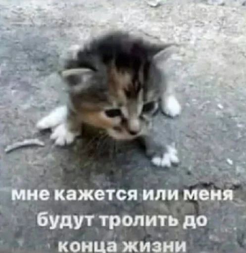 Стикер Awwwaf - 1