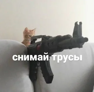 Sticker Любимые стикеры злого котенка - 11