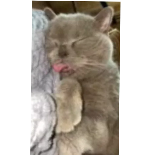 Sticker BANTIK757 - 1