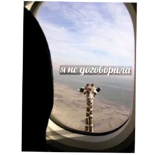 Sticker Sticker.. - 7