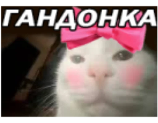 Стикер BBSQD - 1