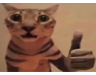 Sticker BB Sticker - 8