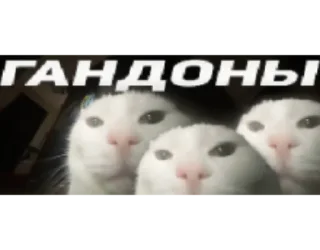 Sticker BB Sticker - 9