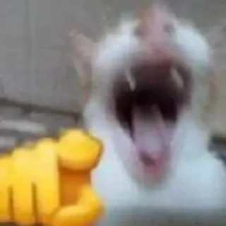 Стикер БЛУДКВД ПРОТИВ АГРО КВД И КВД ТЕРИАН - 6