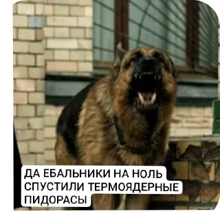 Стикер БЛУДКВД ПРОТИВ АГРО КВД И КВД ТЕРИАН - 5