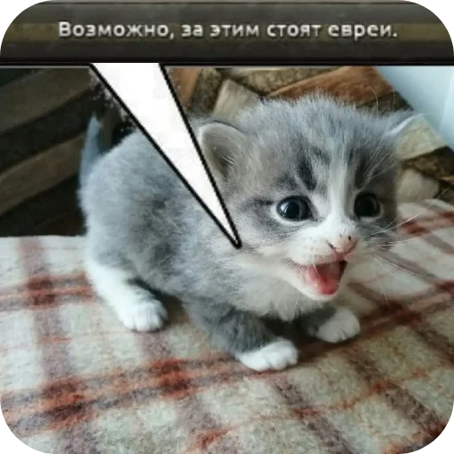 Sticker Bebra2316 - 1