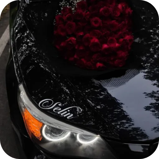 Sticker Bemeve91 - 1