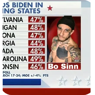 Sticker Bo svinn - 7