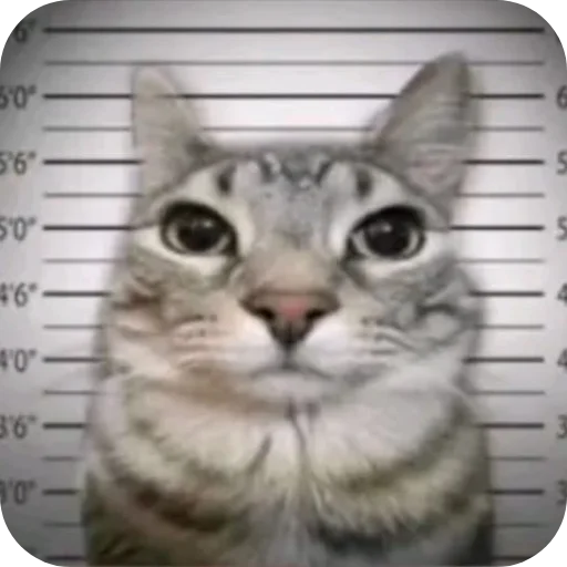 Sticker Bobr6105 - 1