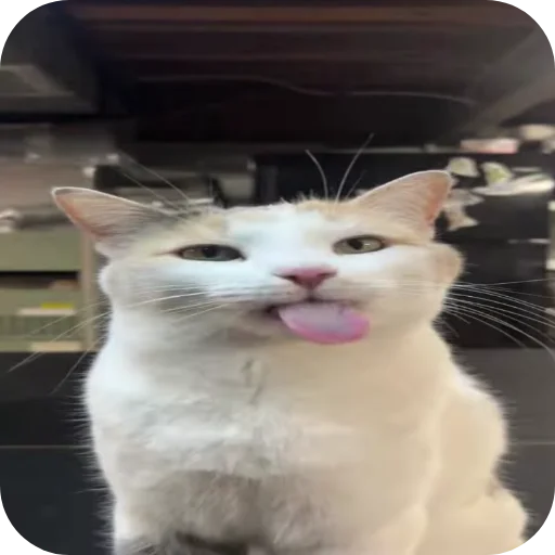 Sticker Bobr6105 - 1