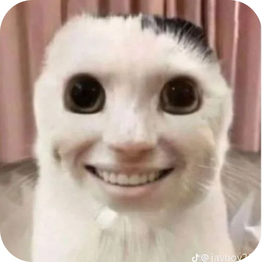 Sticker Bobr6105 - 1