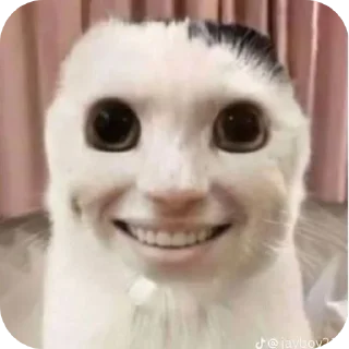 Стикер Бобр - 0