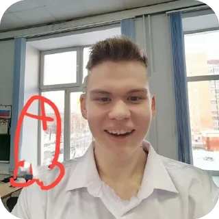 Sticker Борисеенко хуйлан - 11