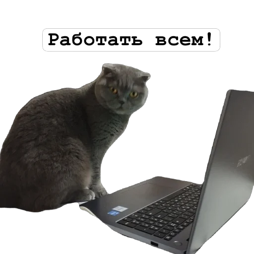 Sticker Bratishka656 - 1