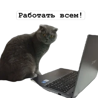 Sticker БраТишка - 7