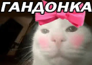 Sticker Бубубиби - 1