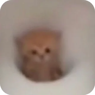 Sticker Бубылда - 6