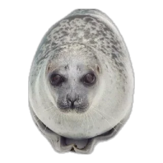 Sticker Бубылда - 10