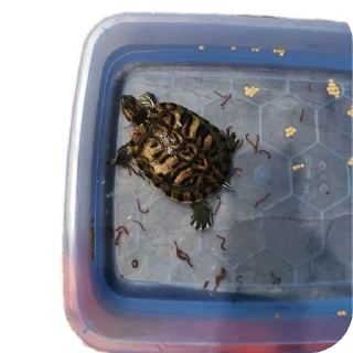 Sticker Булка - 6