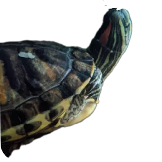 Sticker Булка - 0