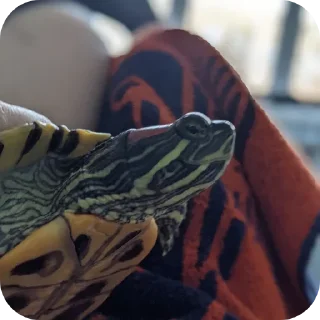 Sticker Булка - 1