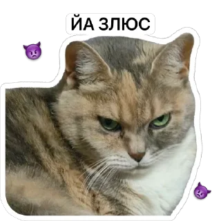 Sticker Bunker Of Retards - 8