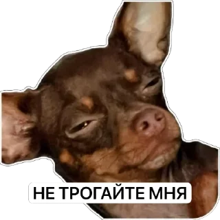 Sticker Bunker Of Retards - 0