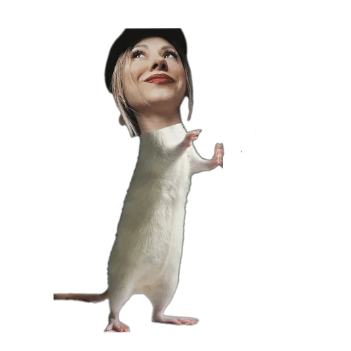 Стикер CHachas1 - 1