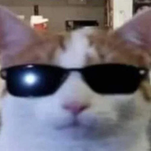 Sticker CHota163 - 1