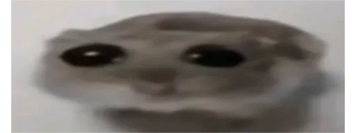 Sticker CHota163 - 1