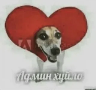 Стикер Чота @UltRandShitt - 1