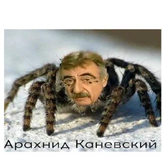 Sticker 仙狐さん (Senko-san) - 1