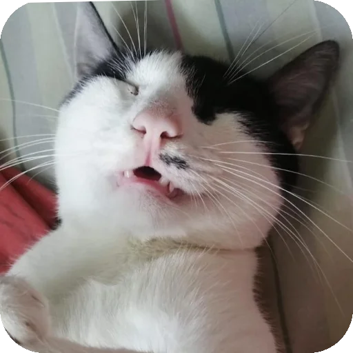 Что то на непонятном - 