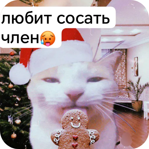 Чупяпимуняню - 