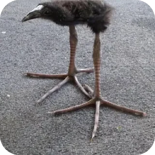 Sticker Чупяпимуняню - 2