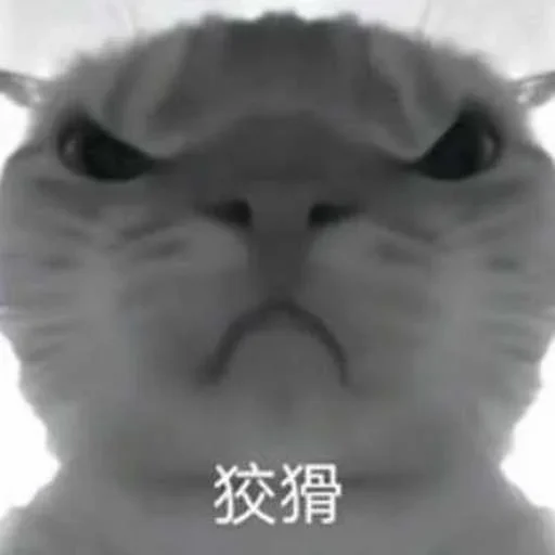 Sticker CHurban14 - 1