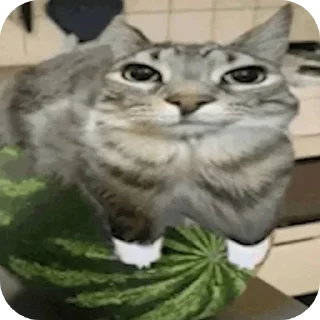 Стикер Чурбан | Создатель @KpaxoB - 8