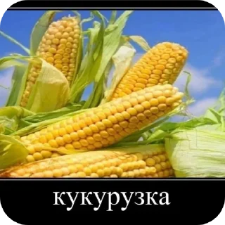 Стикер Новые стикеры в @stikeriq - 3