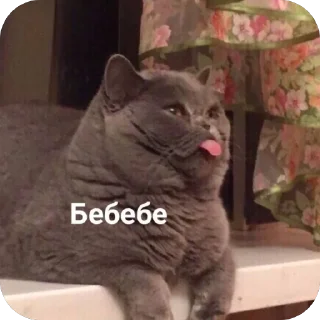 Стикер C-G 18+ - 2